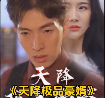 天降极品豪婿第01集