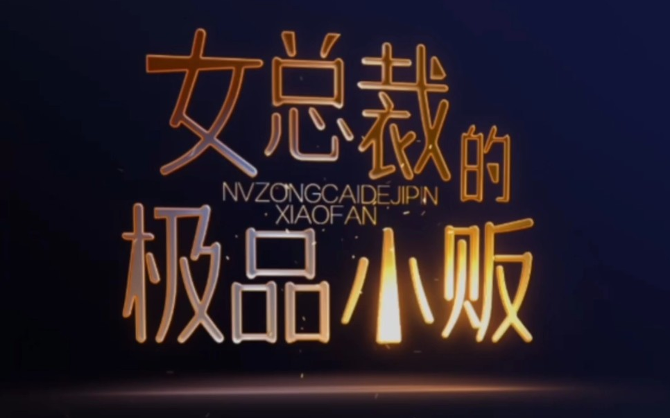 女总裁的极品小贩第01集