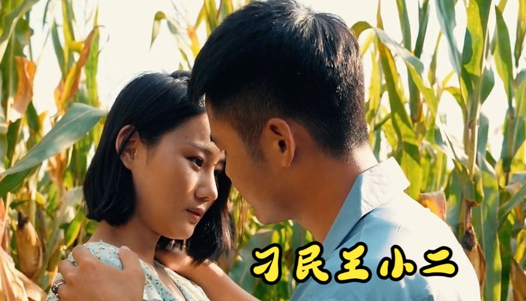 刁民王小二第12集