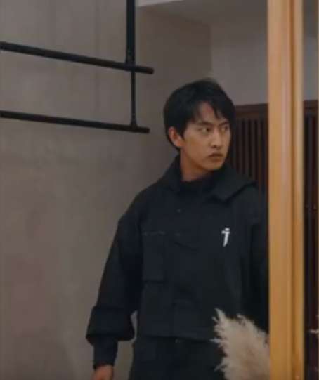 医武赘婿第01集