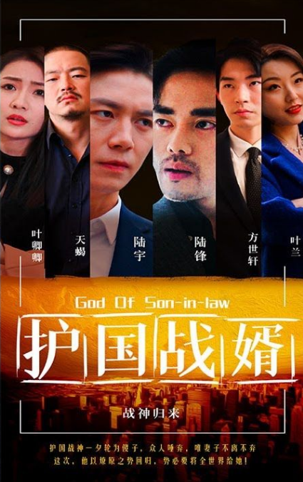 护国战婿第01集