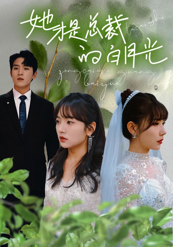 她才是总裁的白月光第01集