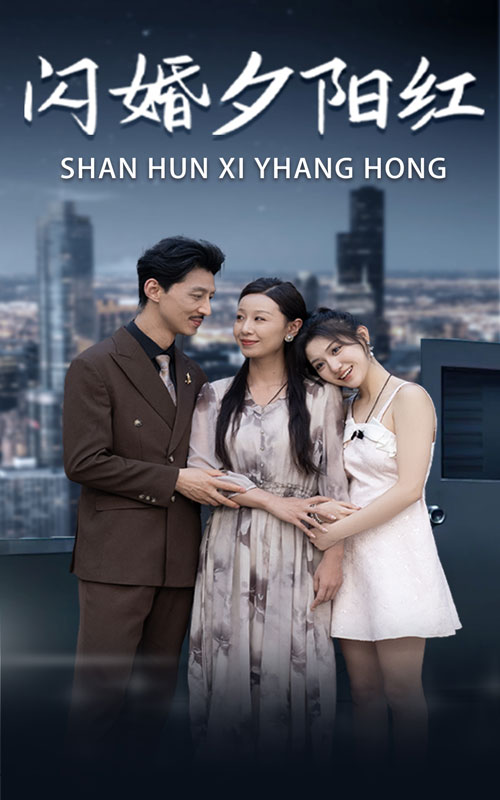 闪婚夕阳红第12集