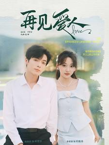 再见爱人第01集