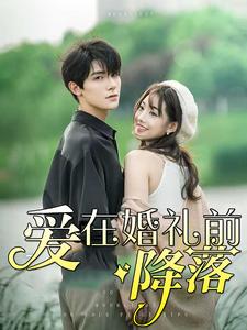 爱在婚礼前降落第01集