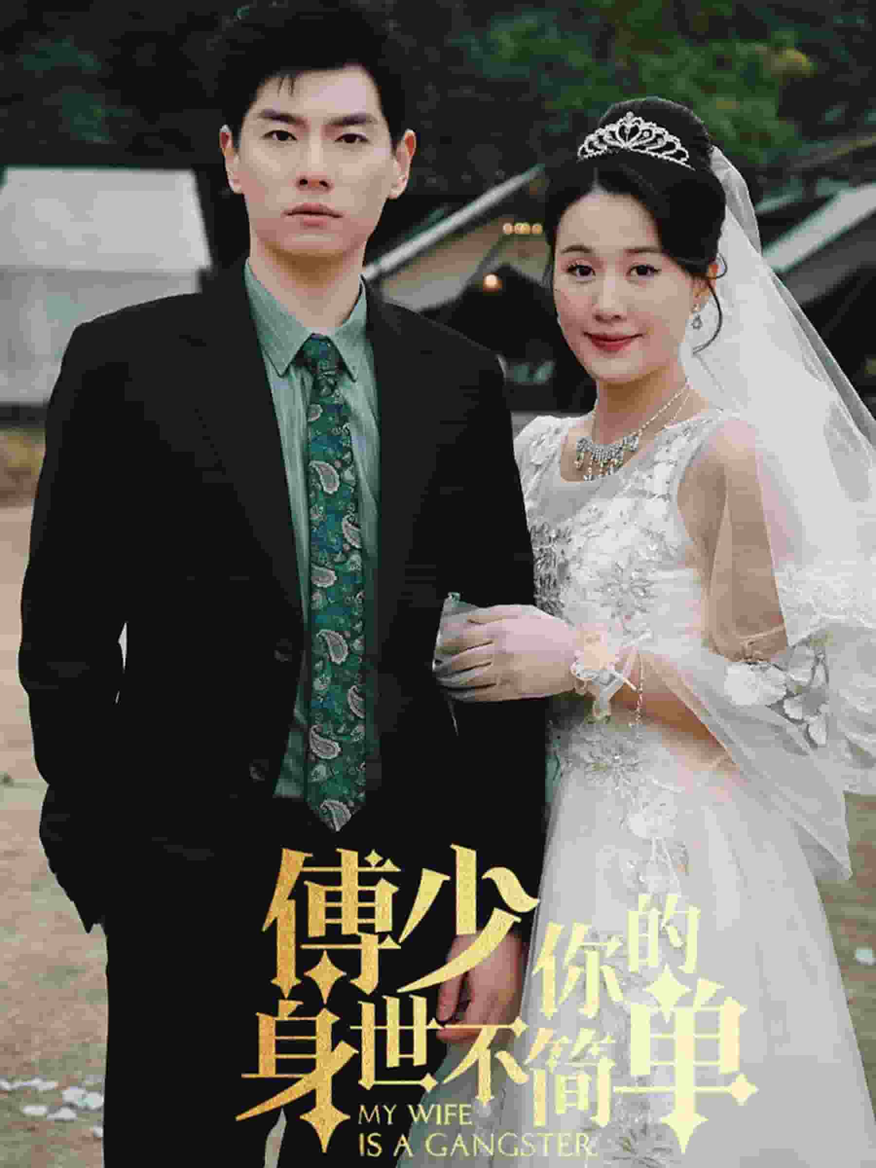 傅少你的身世不简单第01集