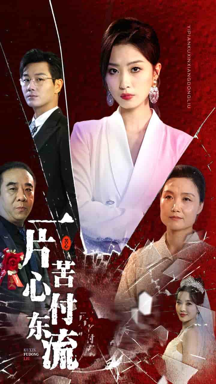 一片苦心付东流第01集