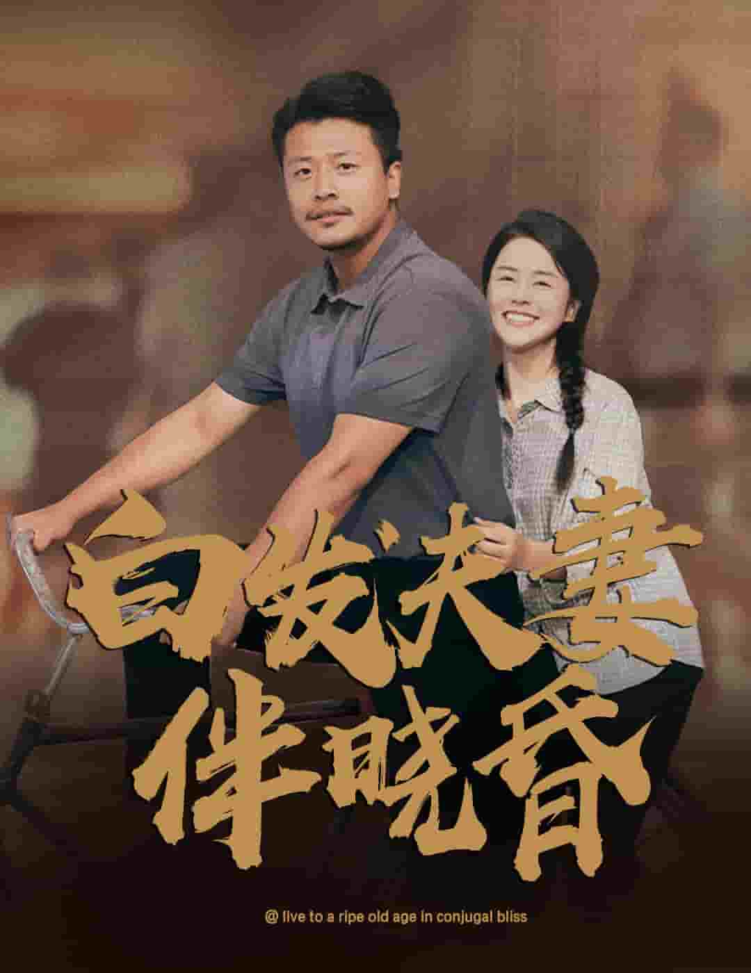 白发夫妻傍晓昏第02集