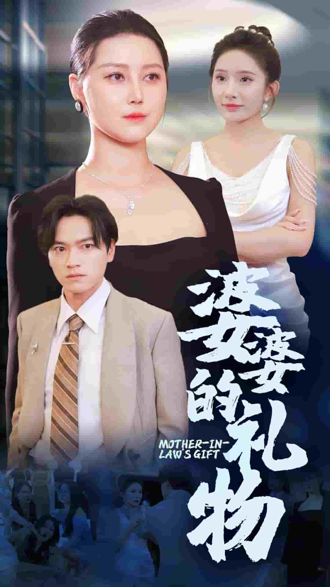 婆婆的礼物第01集