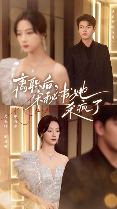 离职后，宋秘书她杀疯了第03集