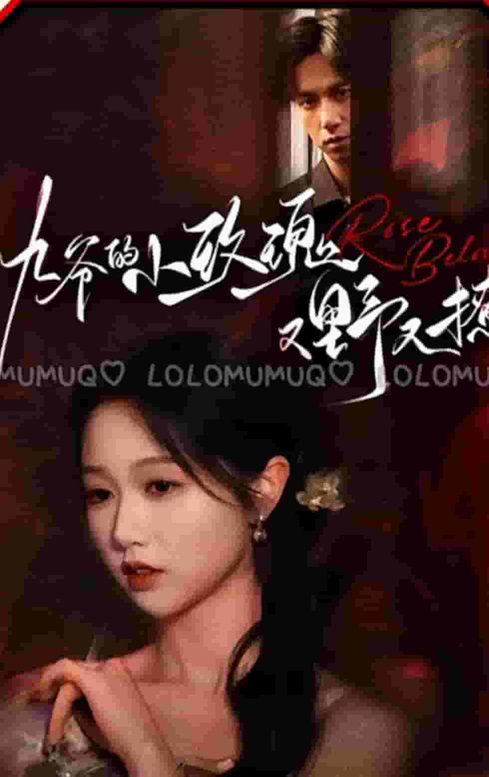 九爷的小玫瑰又野又撩第01集