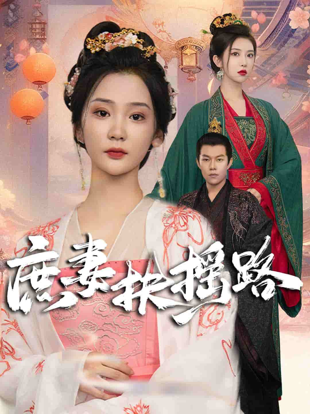 庶妻扶摇路第05集