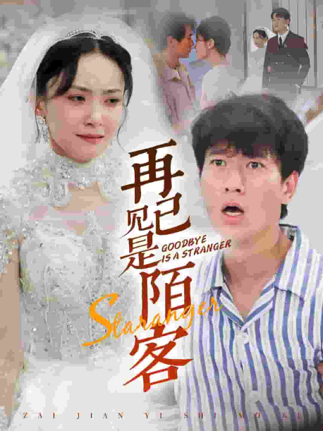 再见已是陌客第01集