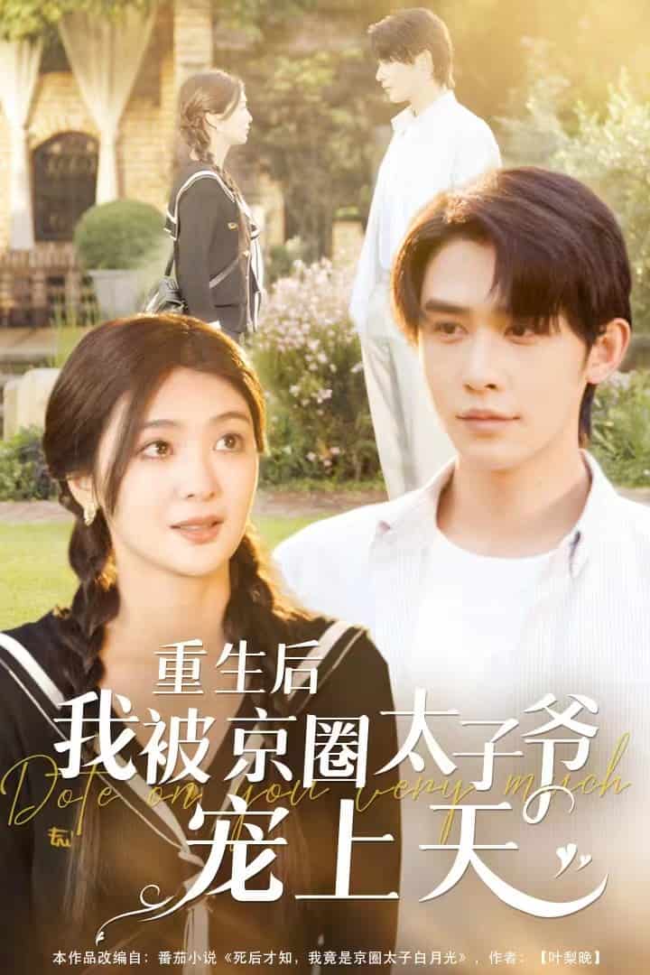 重生后我被京圈太子爷宠上天第01集