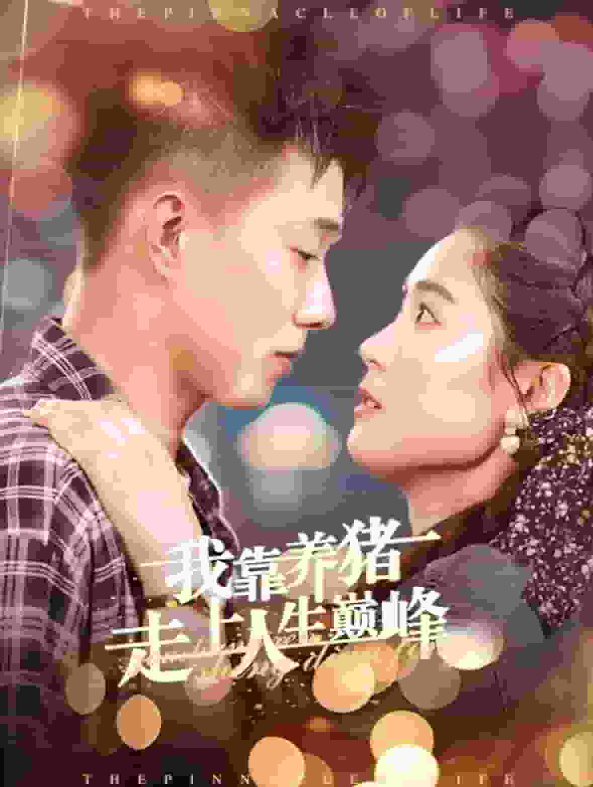 我靠养猪走上人生巅峰第01集