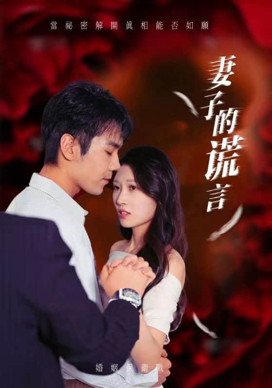 妻子的谎言第01集