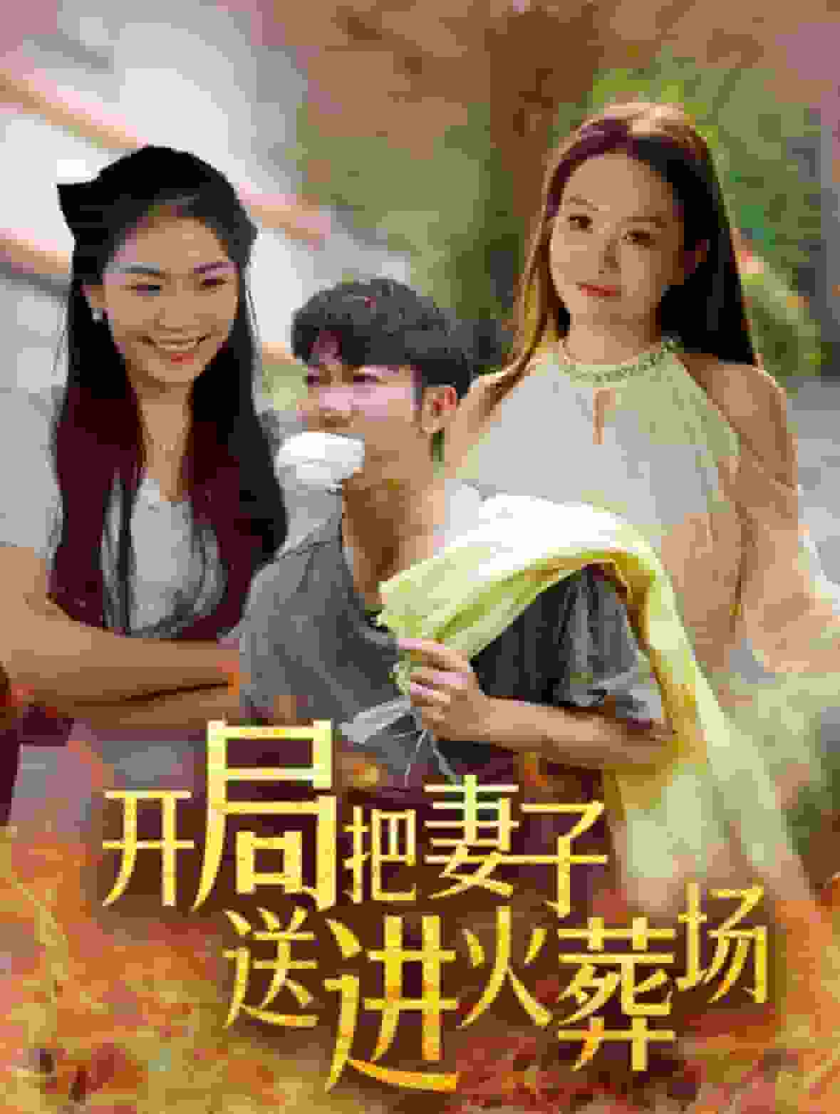 开局把妻子送进火葬场第01集