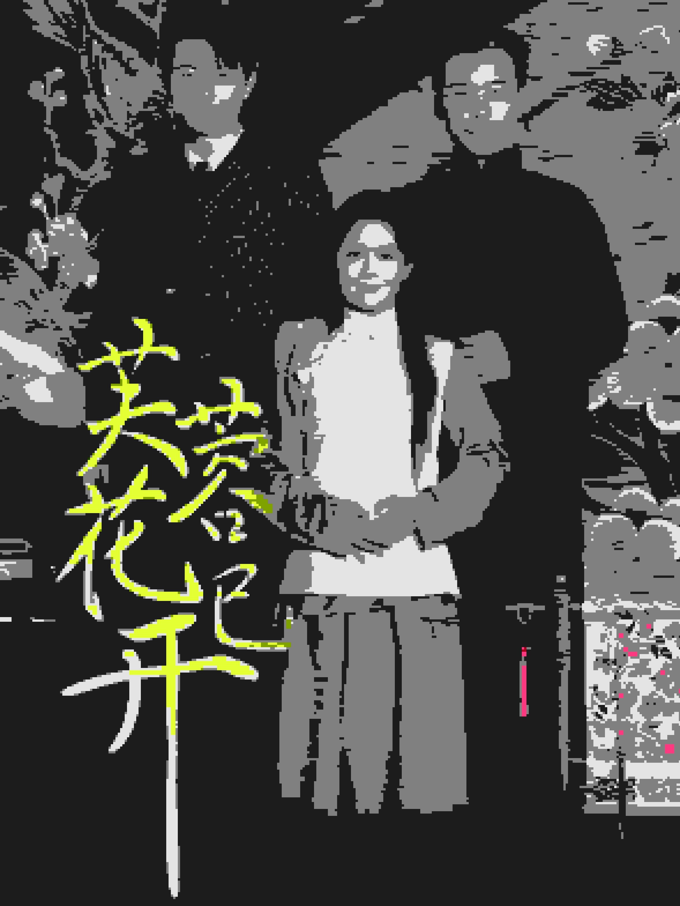 芙蓉花已开第01集