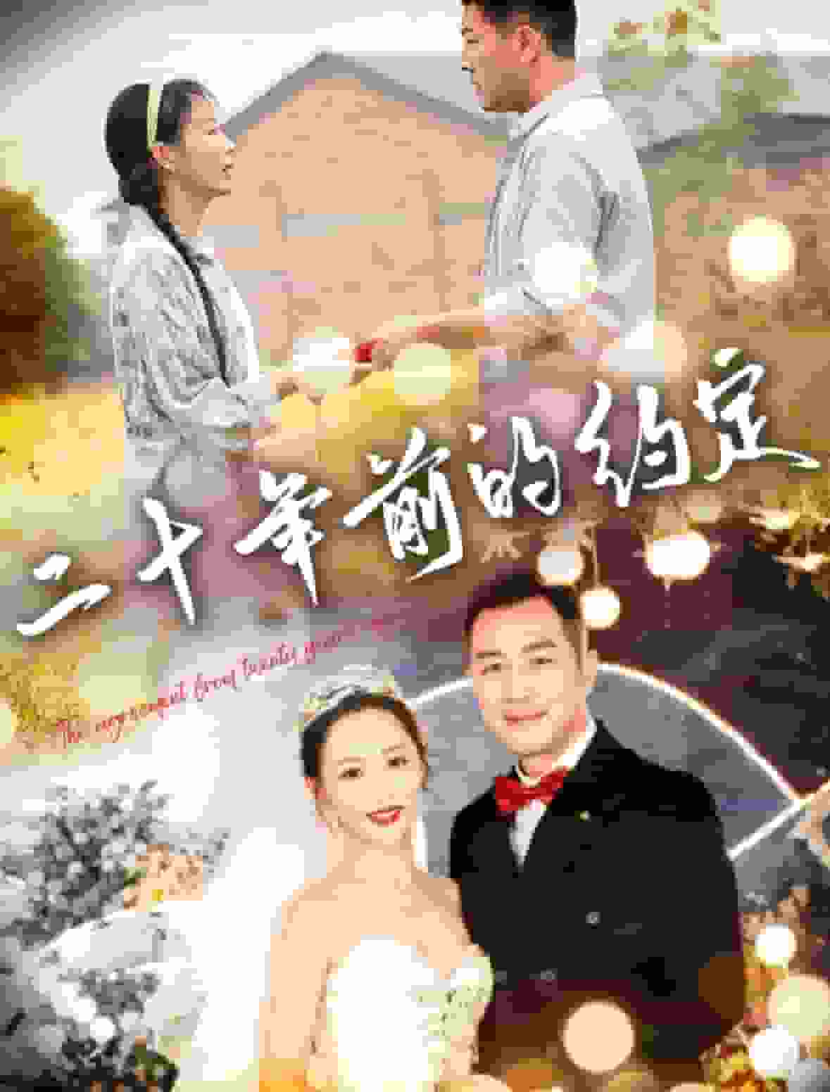 二十年前的约定第02集