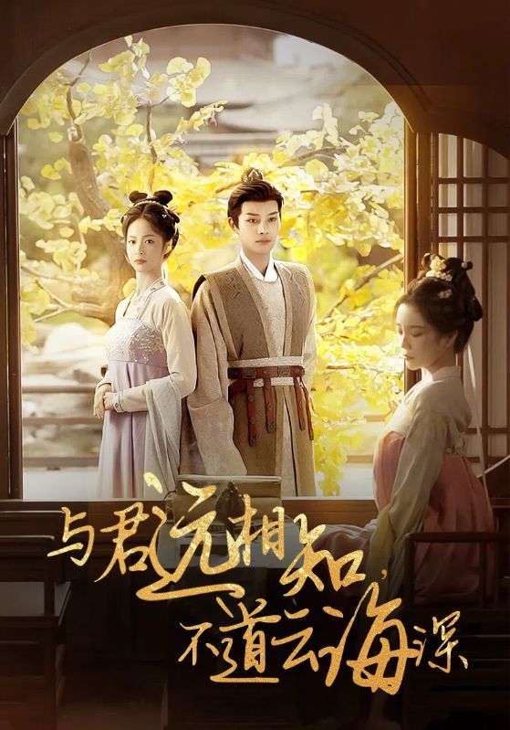 与君远相知不道云海深第05集