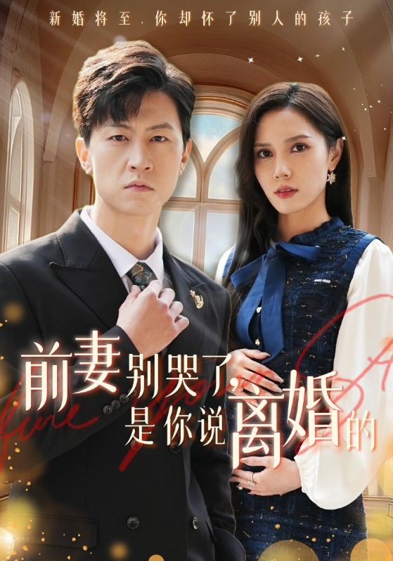 前妻别哭了是你说离婚的第01集