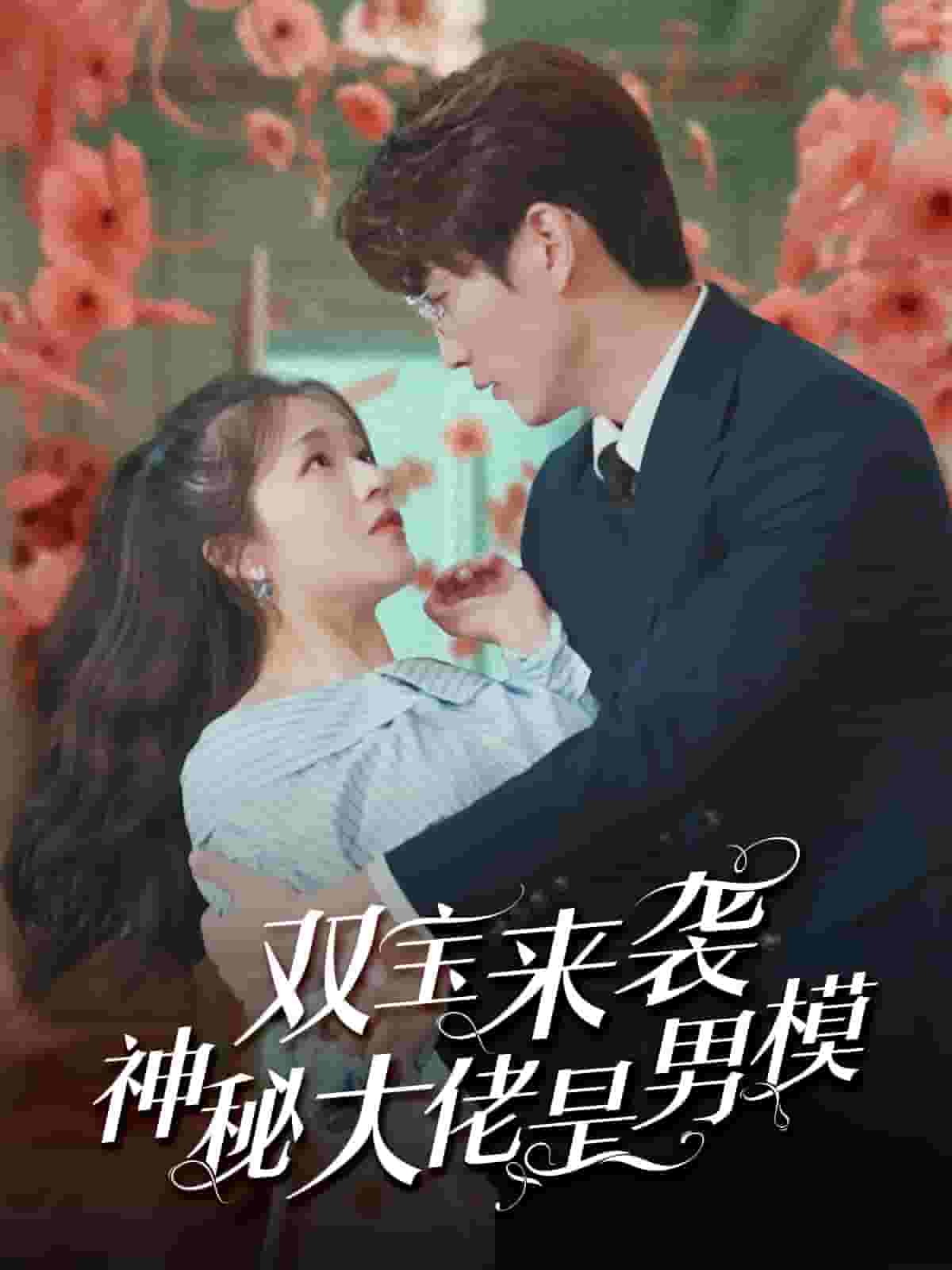 双宝来袭神秘大佬是男模第01集