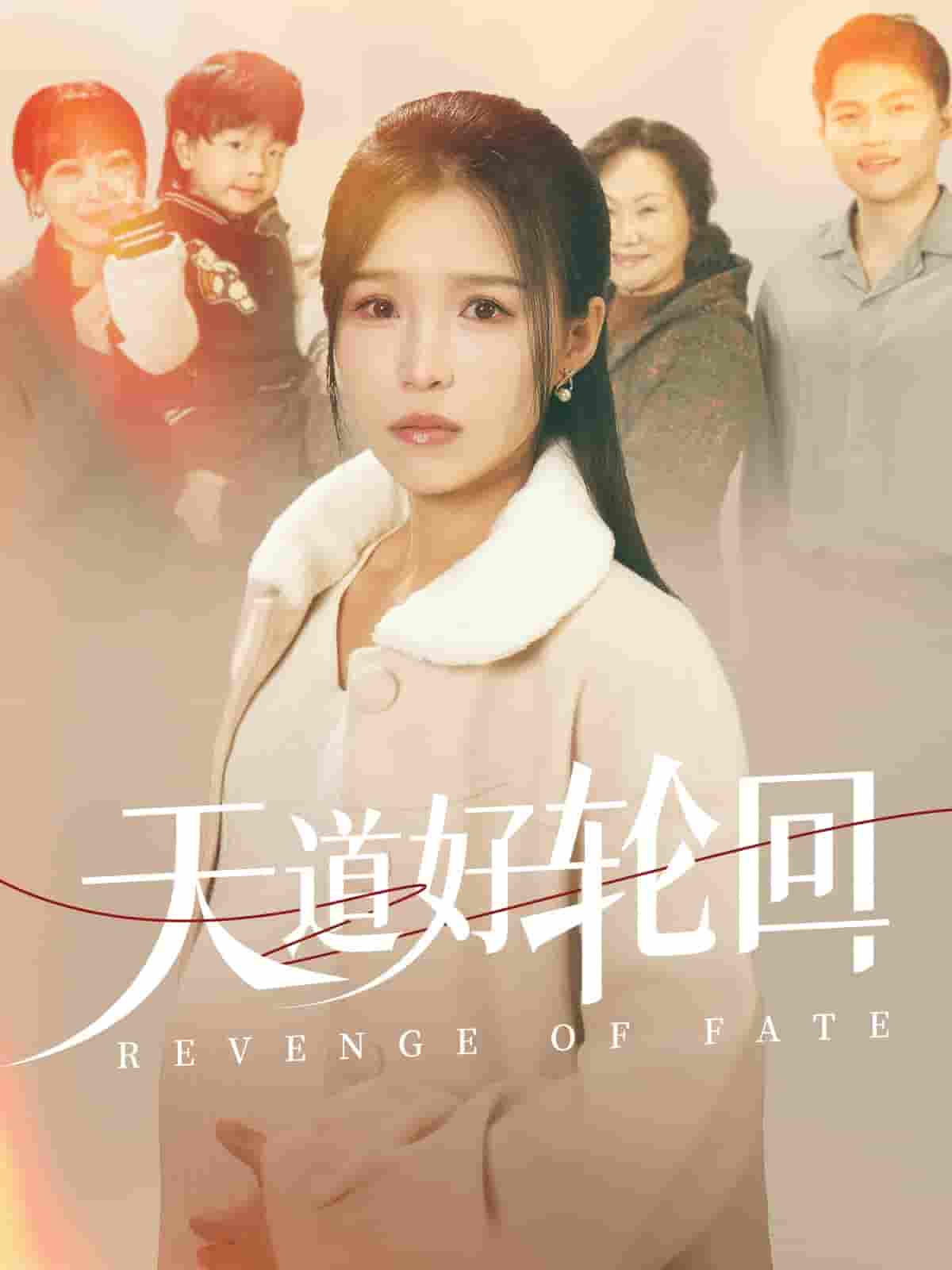 天道好轮回第01集