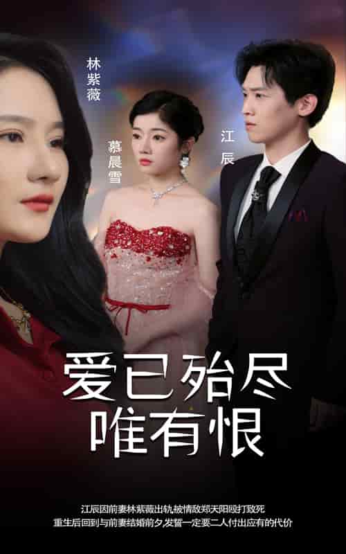 爱已殆尽唯有恨第01集