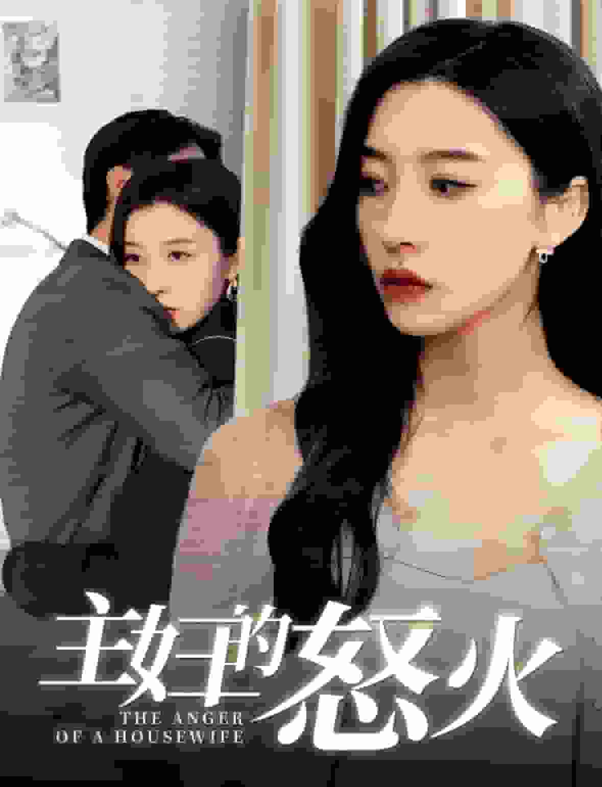 主妇的怒火第01集