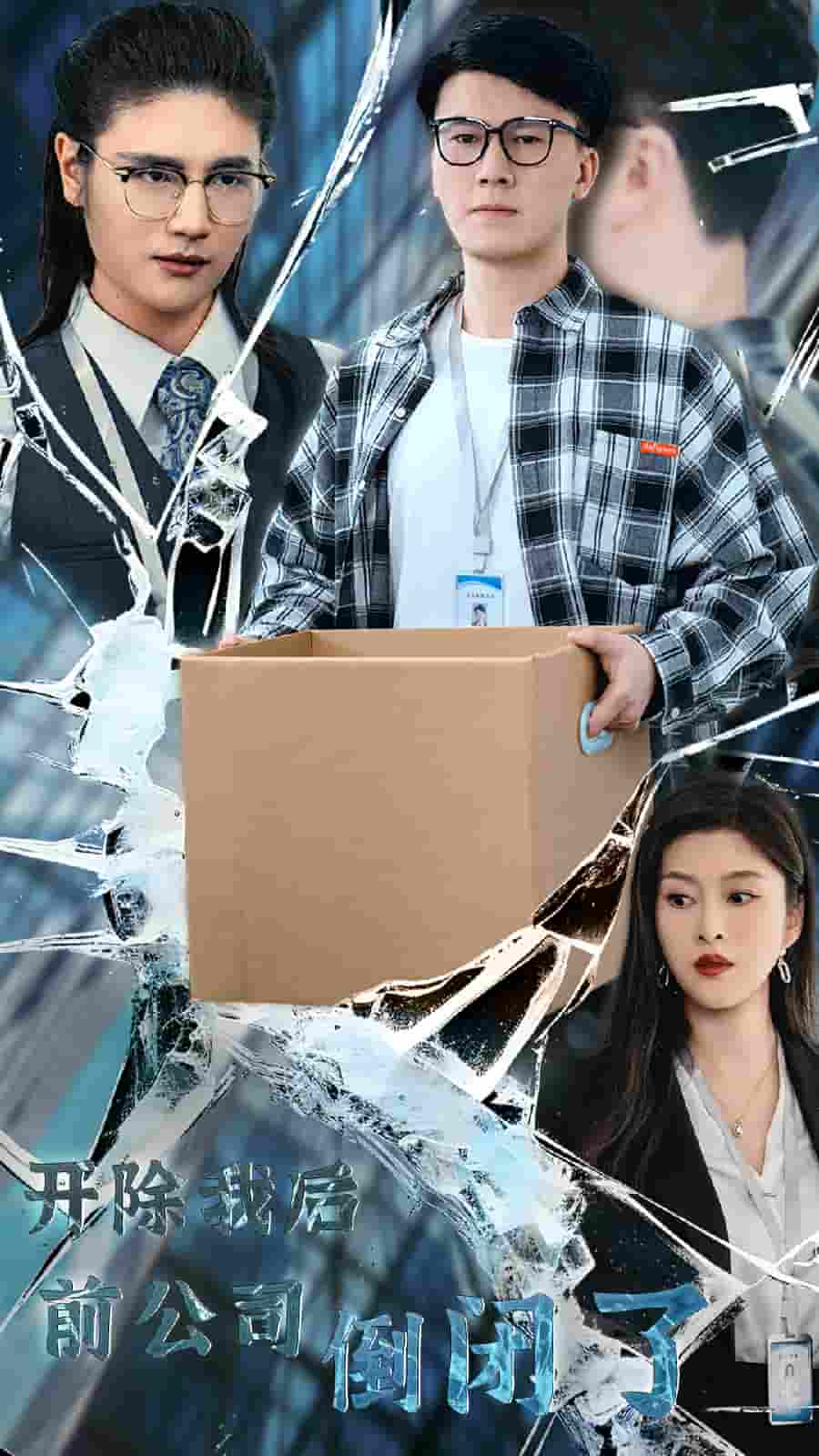 开除我后前公司倒闭了第02集