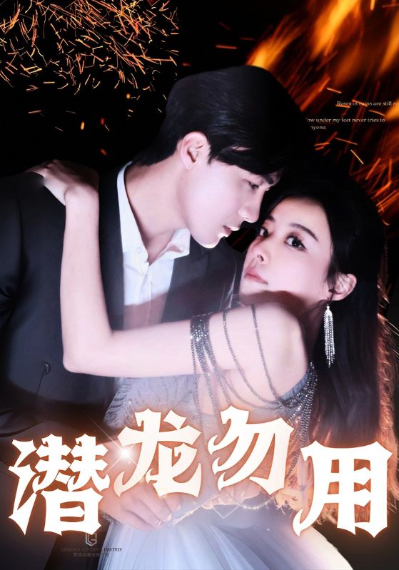 潜龙勿用第01集