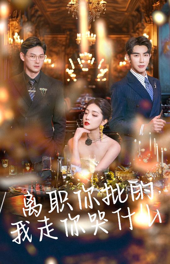 离职你批的我走你哭什么第04集