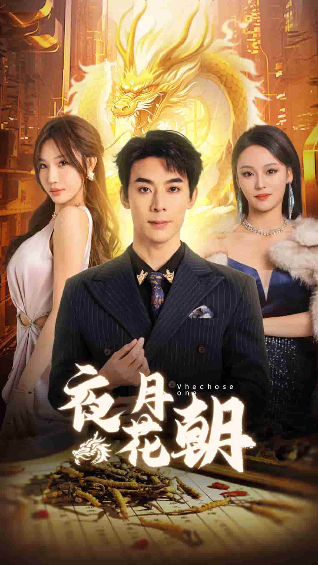 夜月花朝第11集