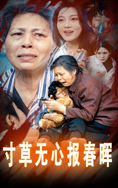 寸草无心报春晖第1集