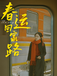 春运回家路第1集