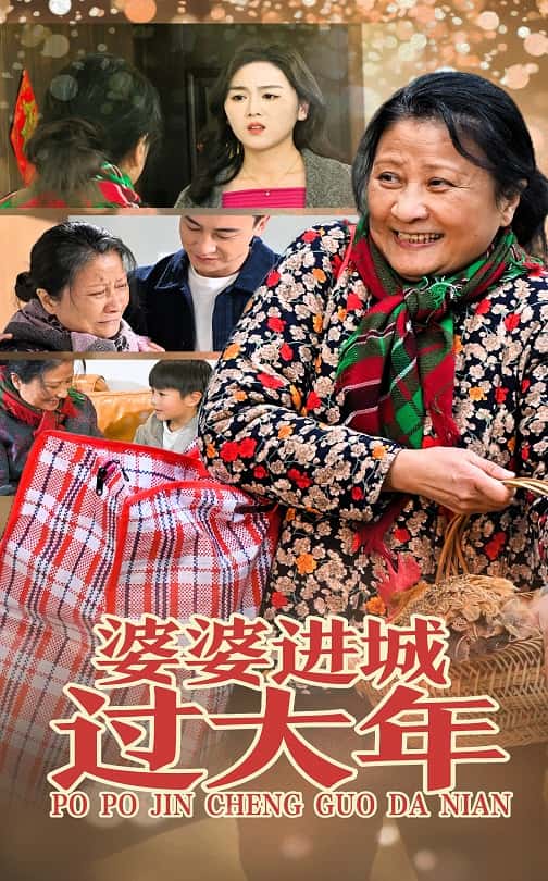 婆婆进城过大年第1集