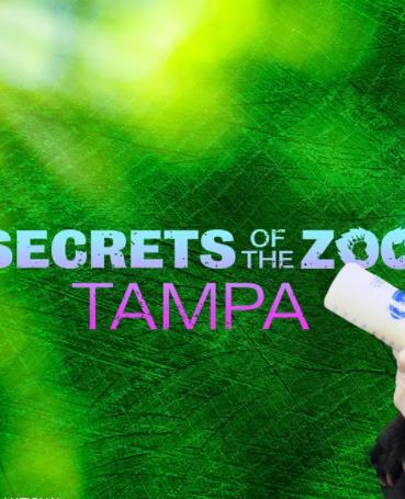 动物园秘辛：坦帕湾第四季(全集)