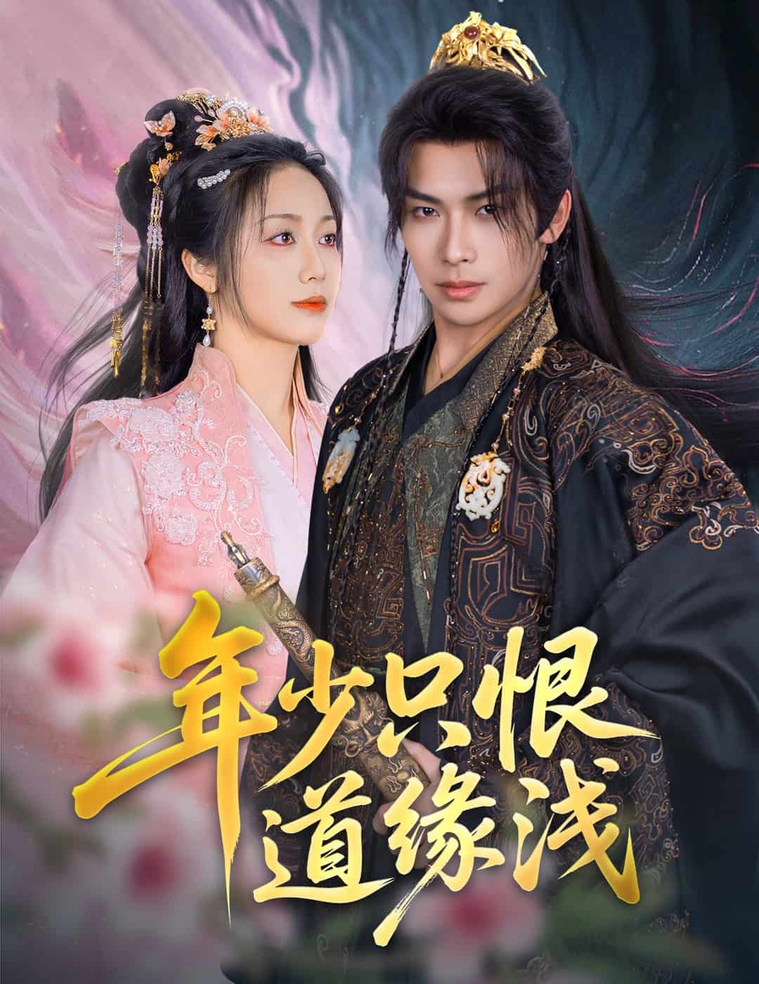 年少只恨道缘浅(全集)