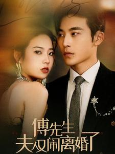 傅先生夫人又闹离婚了第01集