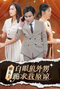 婚礼上白眼狼外甥跪求我原谅第02集