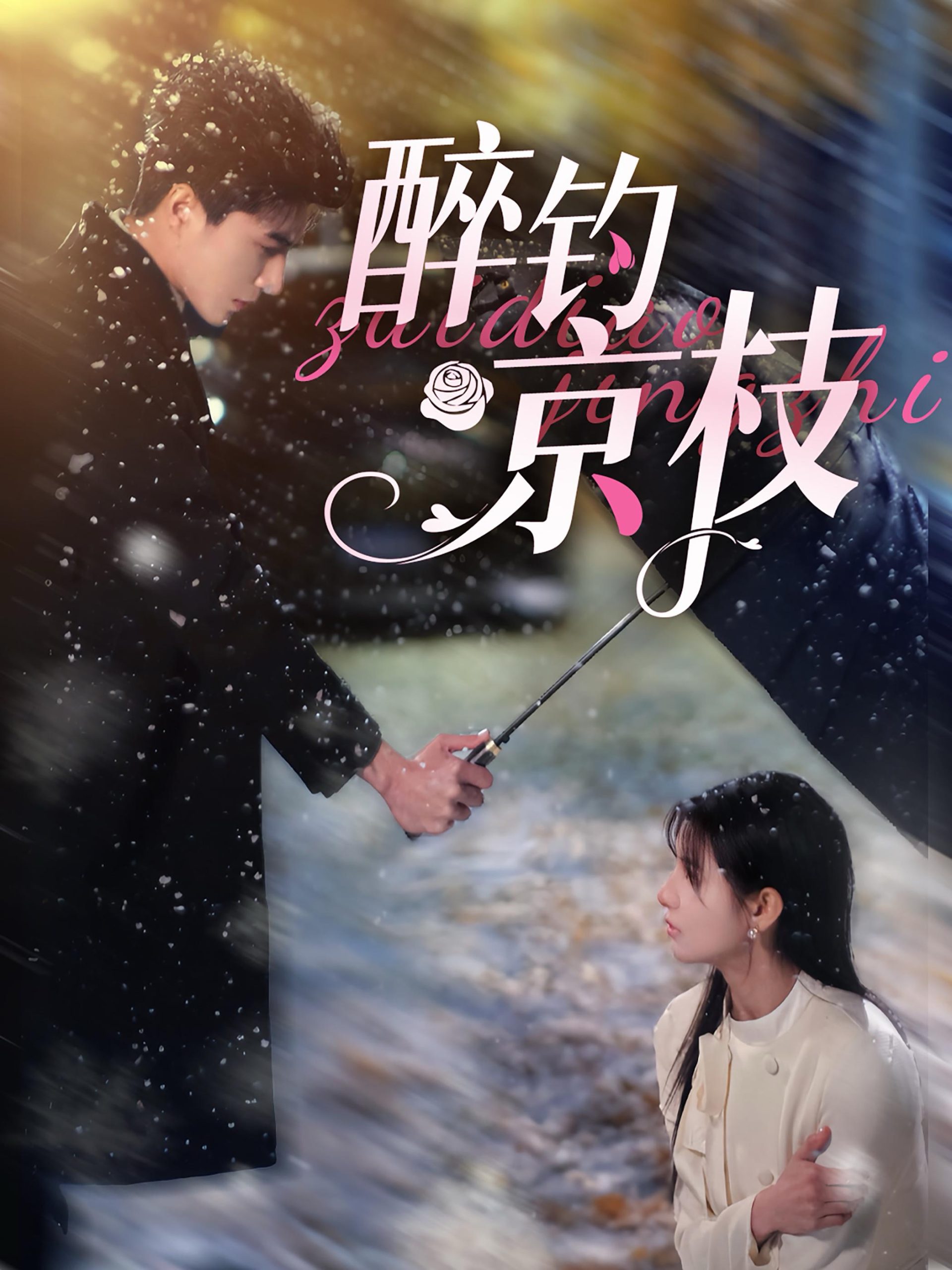 醉钓京枝第03集