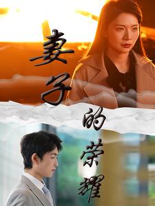 妻子的荣耀第01集