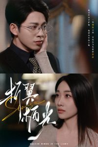 折翼栖光全集(大结局)