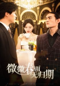 微微春雨无归期全集(大结局)
