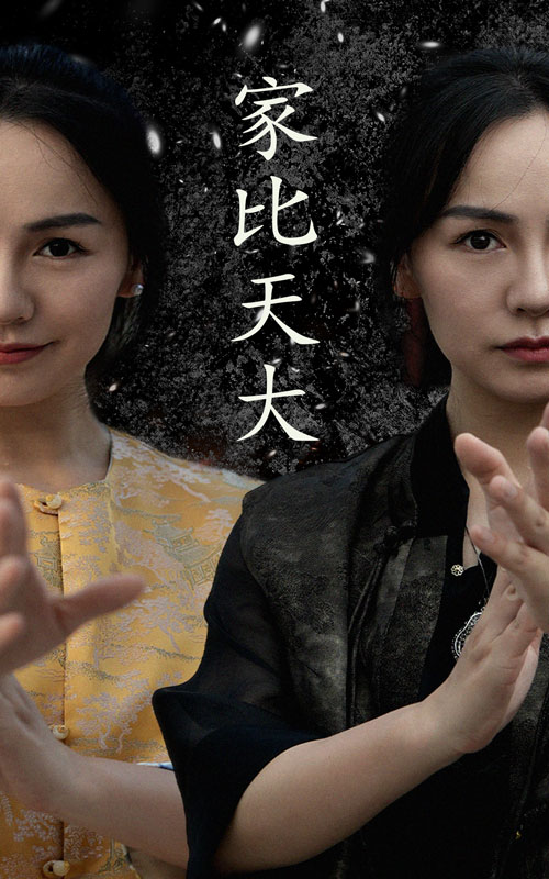 家比天大 短剧版(全集)